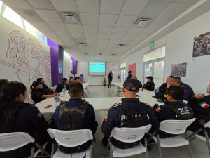 imm-capacita polis