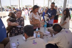 intensifican prevencion de enfermedades zoo