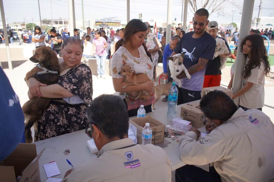intensifican prevencion de enfermedades zoo