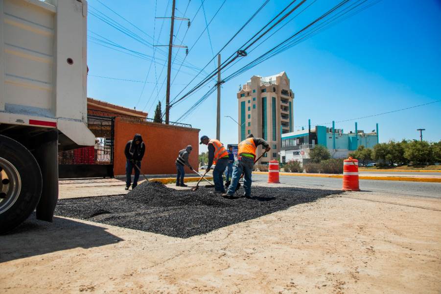 jmas-bachea repa hundim