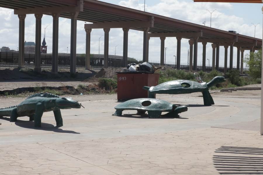limpian parque las tortugas-15jul