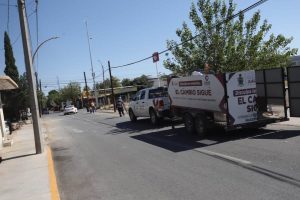 mantienen linpieza en ave
