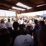 Anuncian fumigación y atención a mascotas en la colonia Valle Dorado