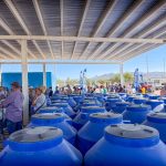 JMAS entregó más de 800 tinacos a familias de Los Kilómetros
