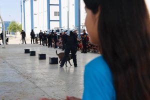 sspm-campamento verano 400asist