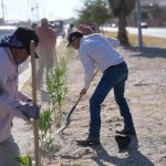 Avanza reforestación del bulevar Zaragoza con más de 500 nuevas plantaciones