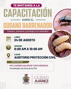 capacitacion vs gusano