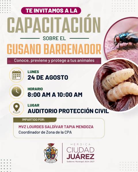 capacitacion vs gusano