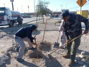 continua forestacion en bvd aragoza