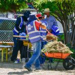 Gobierno estatal realiza limpieza y reforestación en Hacienda de las Torres Universidad