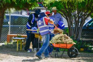 edo limpia y reforesta