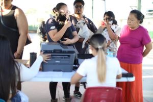 esterilizacion mascots km27
