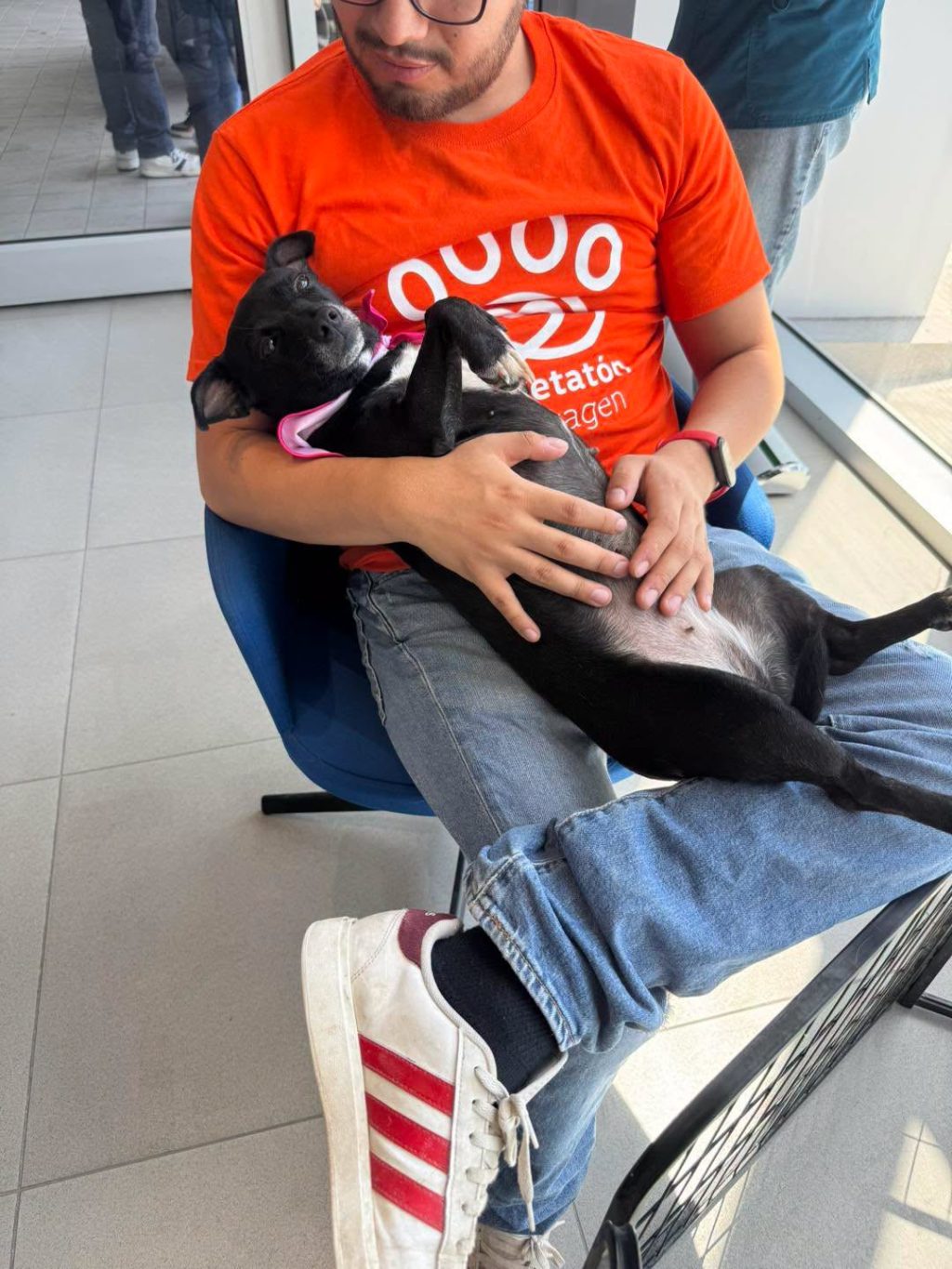 esterilizacion parajes