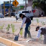 Reforestan bulevar Zaragoza con 225 nuevos ejemplares
