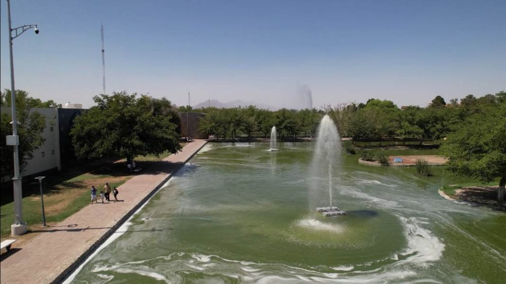oxigenan lago parque central