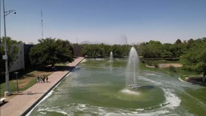oxigenan lago parque central