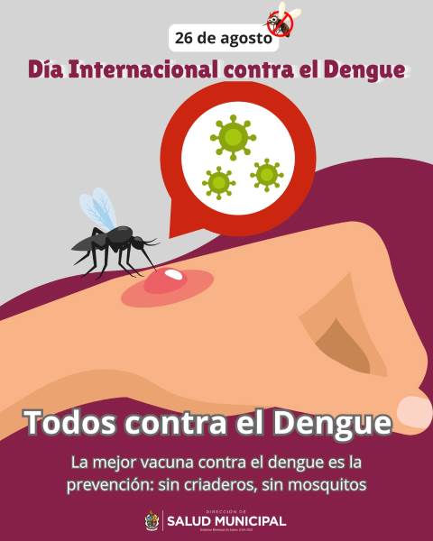 todos vs el dengue