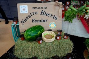 transforman suelo arenoso huerta1