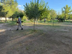 dan mantenimiento col los parques