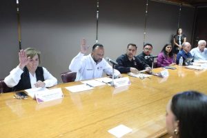 ortiz-consejo movilidad humana