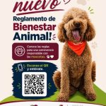 Entra en vigor nuevo Reglamento de Bienestar Animal en Ciudad Juárez