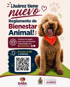 reglamento bienestar animal