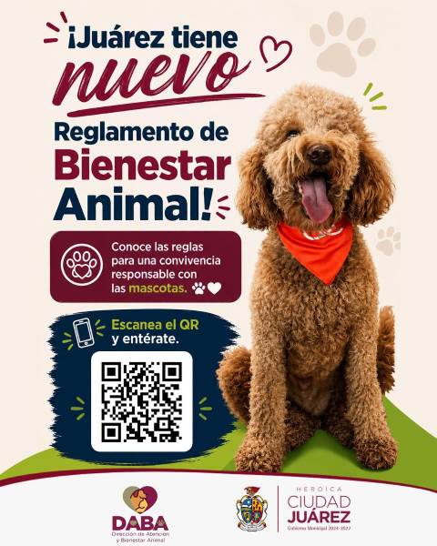 reglamento bienestar animal