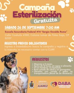 sabado esterilizacion mascotas