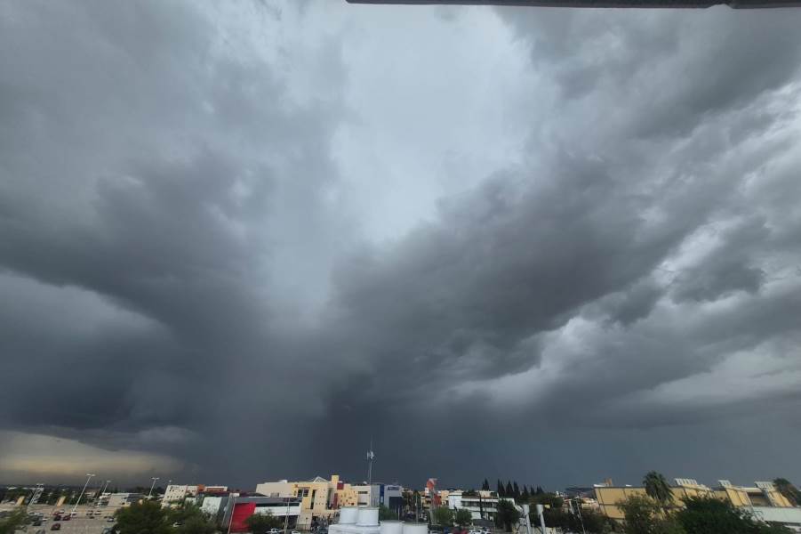 siste alerta amarilla