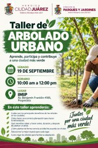 taller arbolado1