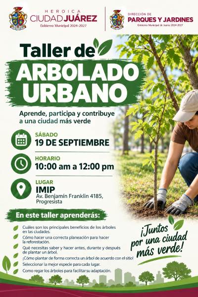 taller arbolado1