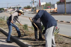 terminan forestacion camellon bvd zargaoza