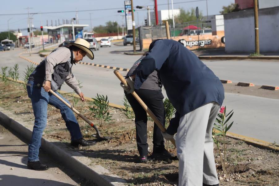 terminan forestacion camellon bvd zargaoza