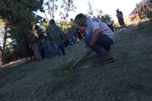 capacitan cuidado arboles