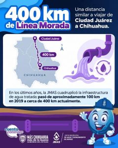 crece linea morada