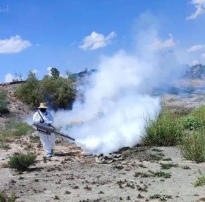 edo realiza termofumigaciones