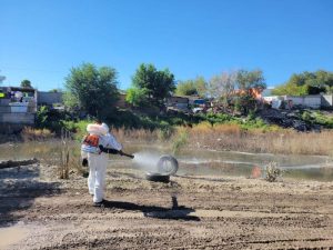 intensidican termofumigacion