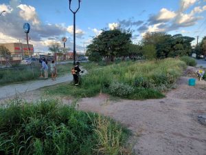 limpian parque satelite