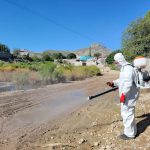 Nebulizan Anapra y Pánfilo Natera para reducir presencia de mosquitos
