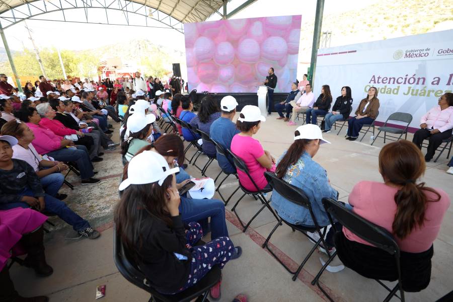 ortiz-encabezo cruzada rosa