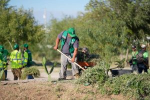 partido verde recupera espacios