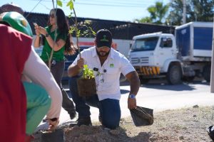 partido verde sembrara 100 arboles