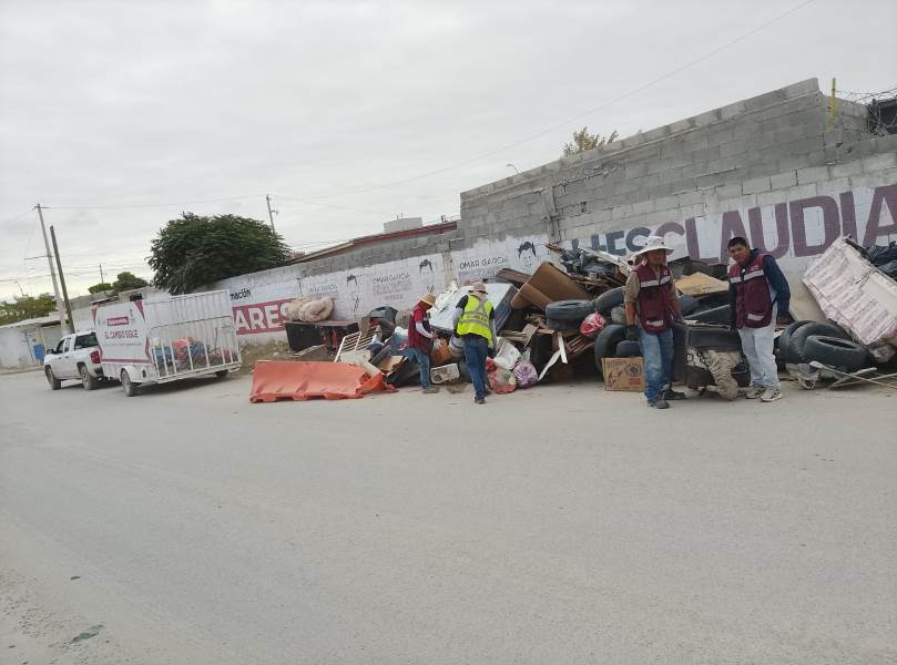 recolectan tonedas basura en pl