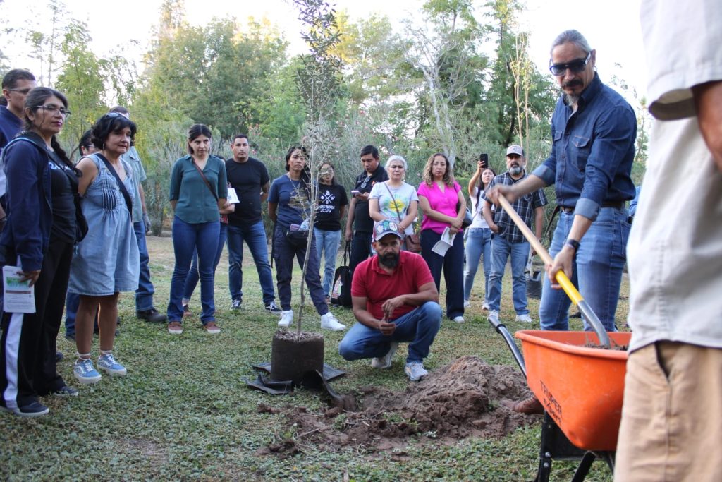 taller plantacion arboles