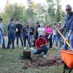 Recomiendan plantar mezquite, palo verde y huizache para ahorrar agua
