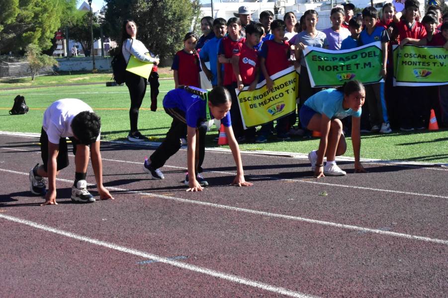torneo primarias